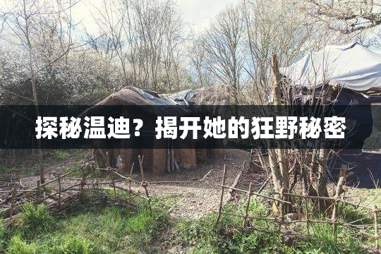 探秘温迪？揭开她的狂野秘密