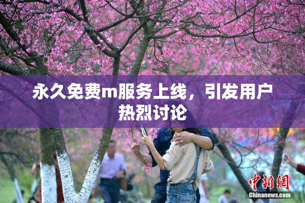 永久免费m服务上线，引发用户热烈讨论