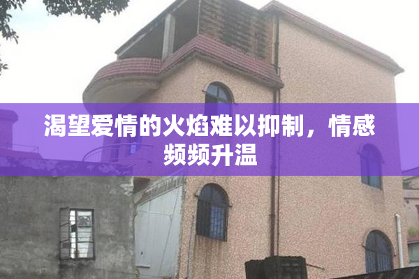 渴望爱情的火焰难以抑制，情感频频升温