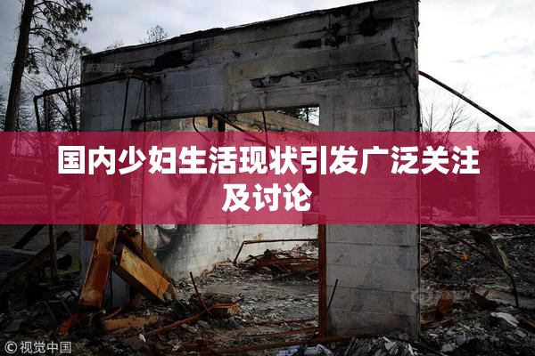 国内少妇生活现状引发广泛关注及讨论