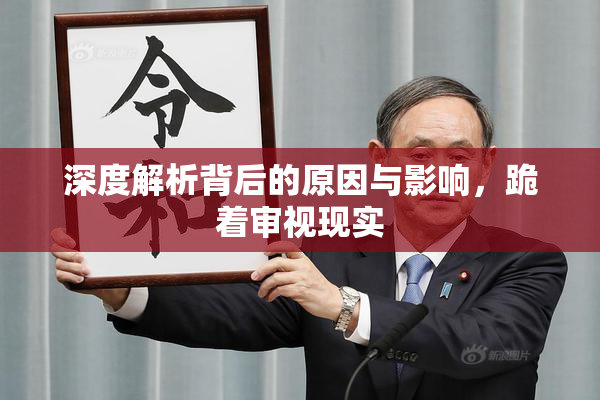 深度解析背后的原因与影响，跪着审视现实