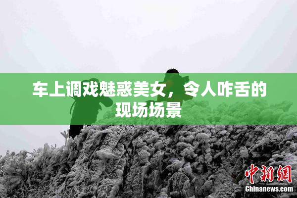 车上调戏魅惑美女，令人咋舌的现场场景