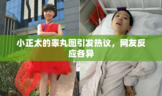 小正太的睾丸图引发热议，网友反应各异
