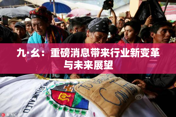 九·幺：重磅消息带来行业新变革与未来展望