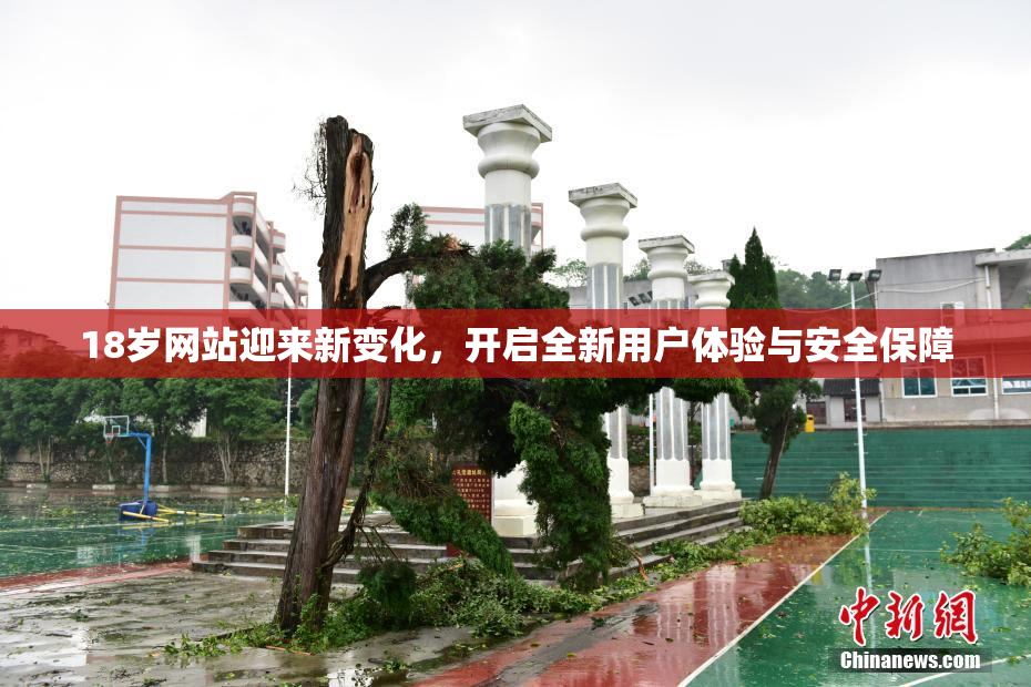 18岁网站迎来新变化，开启全新用户体验与安全保障