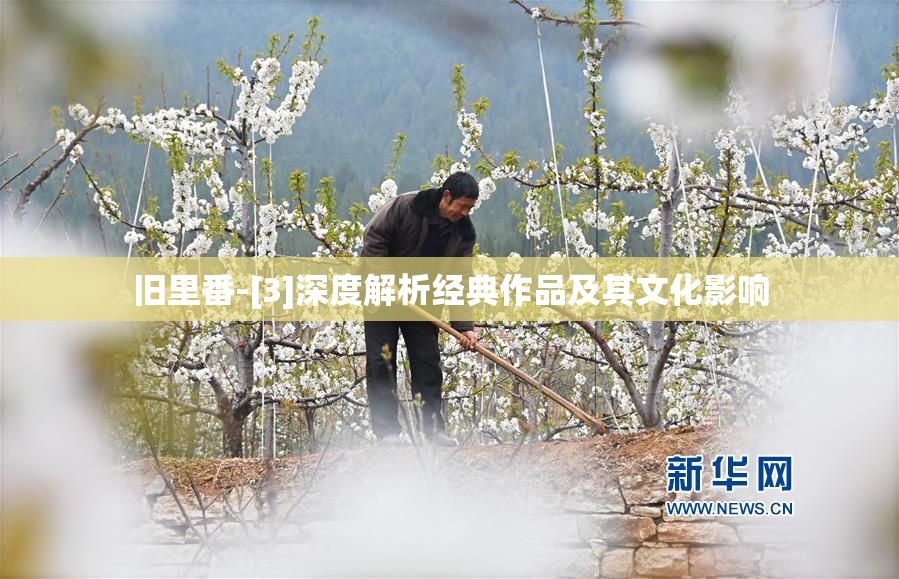 旧里番-[3]深度解析经典作品及其文化影响