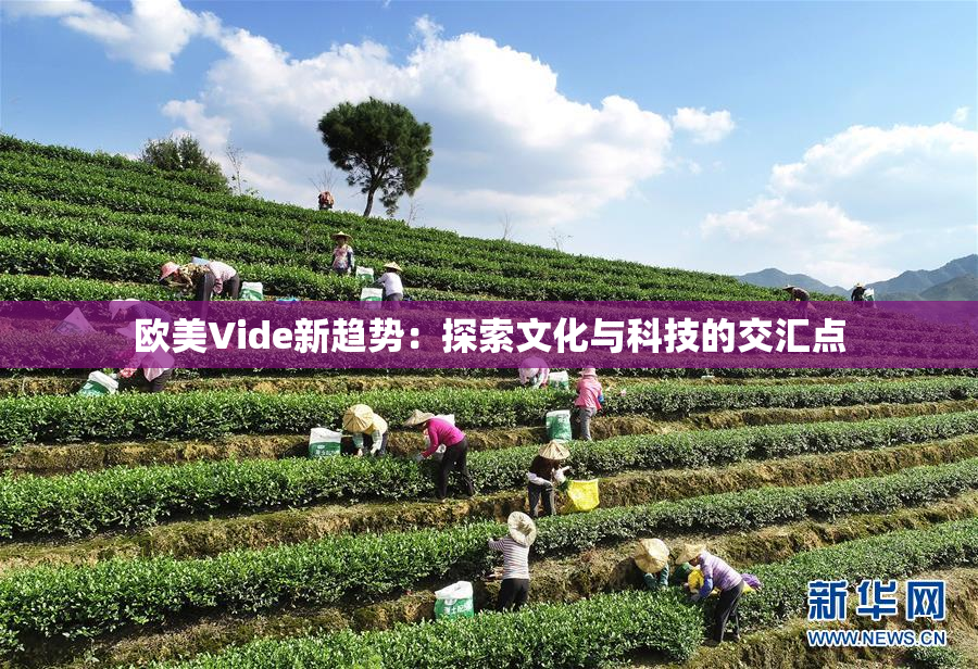欧美Vide新趋势：探索文化与科技的交汇点