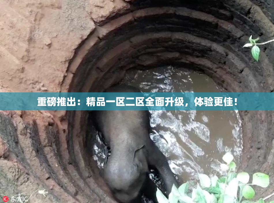 重磅推出：精品一区二区全面升级，体验更佳！