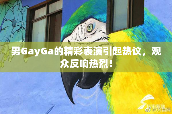 男GayGa的精彩表演引起热议，观众反响热烈！
