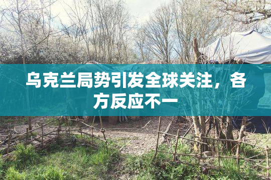 乌克兰局势引发全球关注，各方反应不一