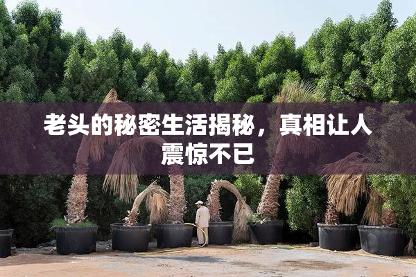 老头的秘密生活揭秘，真相让人震惊不已