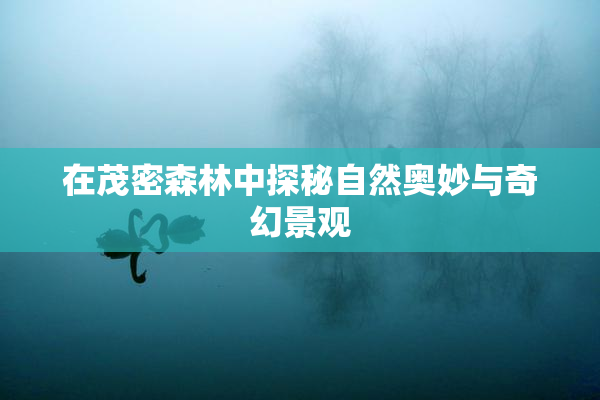 在茂密森林中探秘自然奥妙与奇幻景观