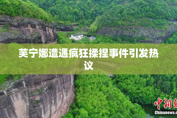 芙宁娜遭遇疯狂揉捏事件引发热议
