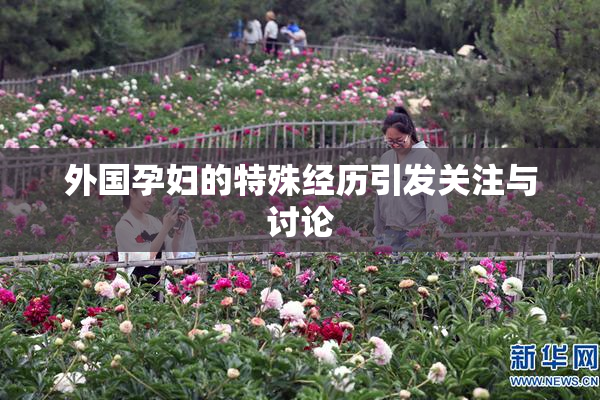 外国孕妇的特殊经历引发关注与讨论