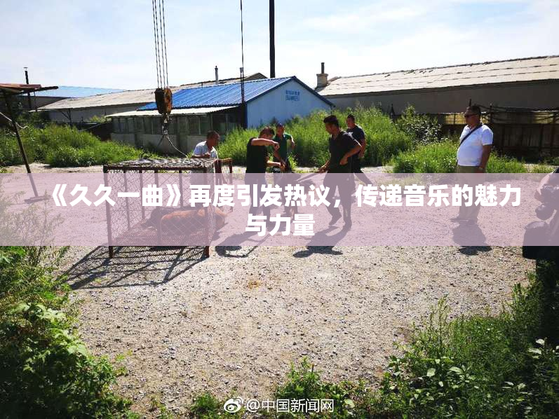 《久久一曲》再度引发热议，传递音乐的魅力与力量