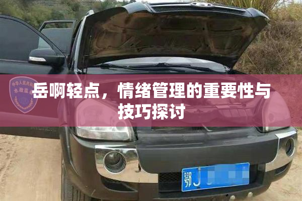 岳啊轻点，情绪管理的重要性与技巧探讨