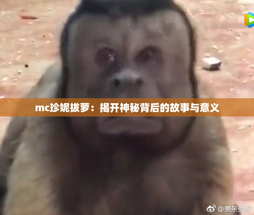 mc珍妮拔萝：揭开神秘背后的故事与意义