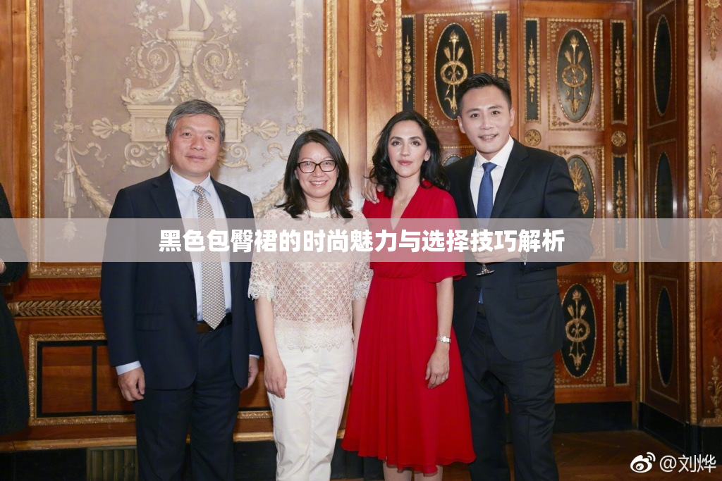 黑色包臀裙的时尚魅力与选择技巧解析
