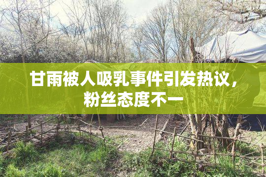 甘雨被人吸乳事件引发热议，粉丝态度不一