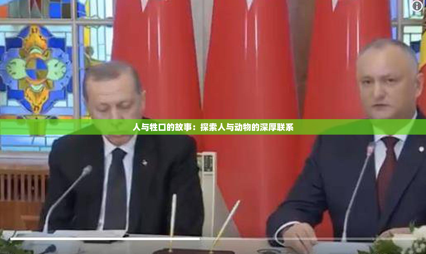 人与牲口的故事：探索人与动物的深厚联系