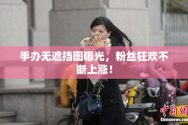手办无遮挡图曝光，粉丝狂欢不断上涨！