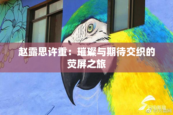 赵露思许重：璀璨与期待交织的荧屏之旅