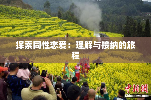 探索同性恋爱：理解与接纳的旅程