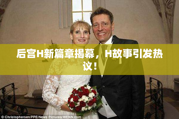 后宫H新篇章揭幕，H故事引发热议！