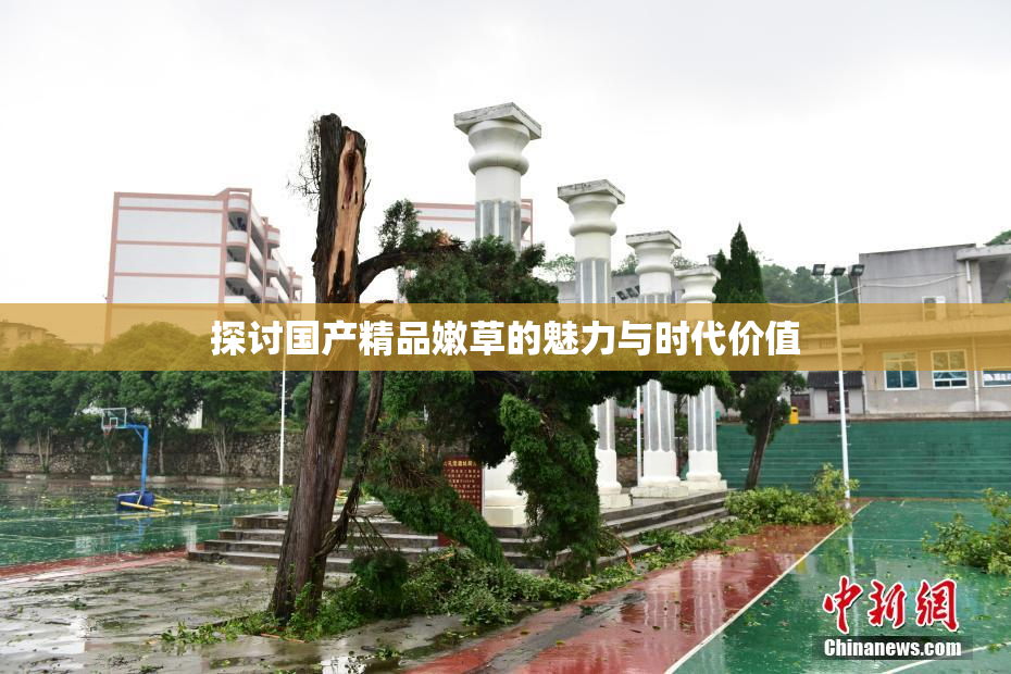 探讨国产精品嫩草的魅力与时代价值