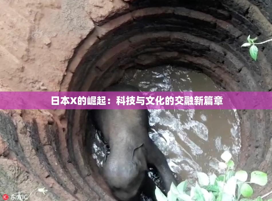 日本X的崛起：科技与文化的交融新篇章