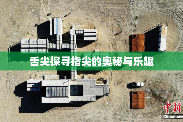 舌尖探寻指尖的奥秘与乐趣