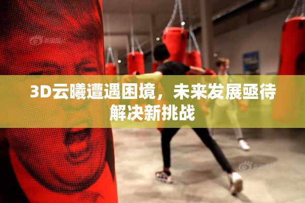 3D云曦遭遇困境，未来发展亟待解决新挑战