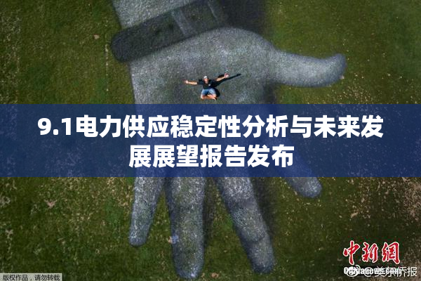 9.1电力供应稳定性分析与未来发展展望报告发布