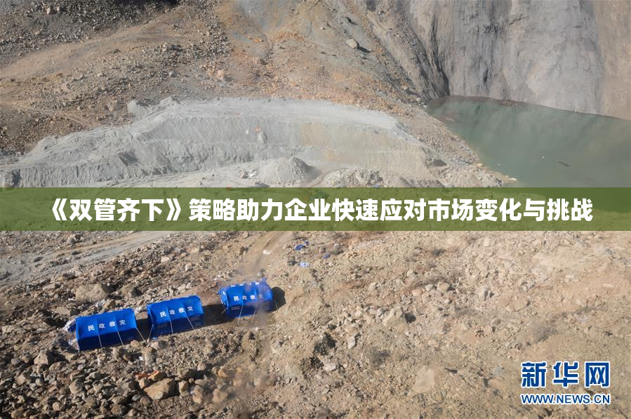 《双管齐下》策略助力企业快速应对市场变化与挑战