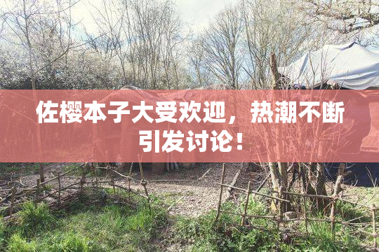 佐樱本子大受欢迎，热潮不断引发讨论！