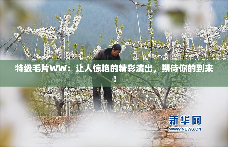 特级毛片WW：让人惊艳的精彩演出，期待你的到来！
