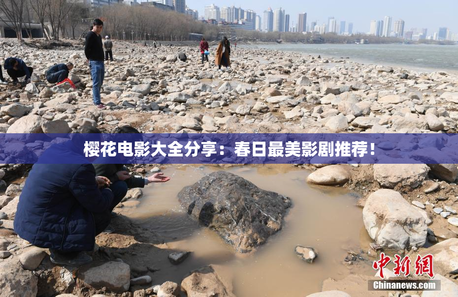 樱花电影大全分享：春日最美影剧推荐！
