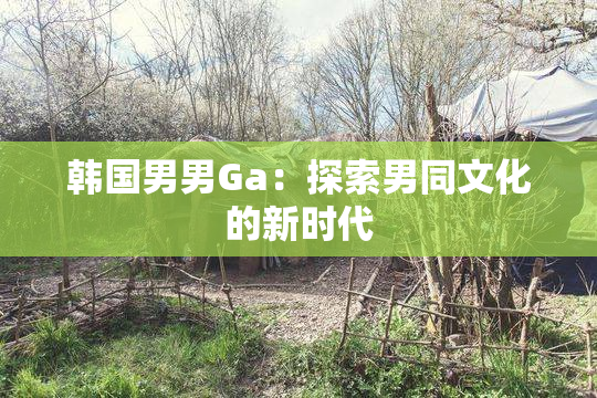 韩国男男Ga：探索男同文化的新时代