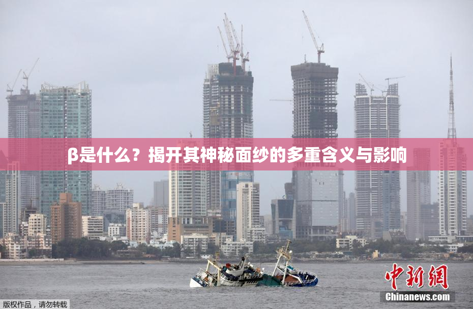 β是什么？揭开其神秘面纱的多重含义与影响