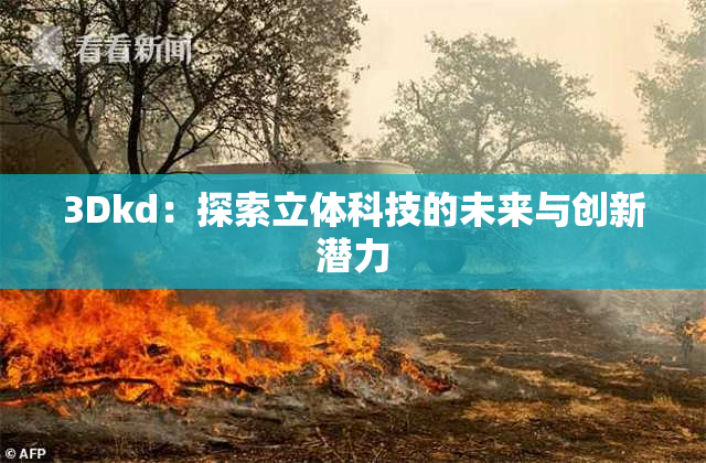 3Dkd：探索立体科技的未来与创新潜力