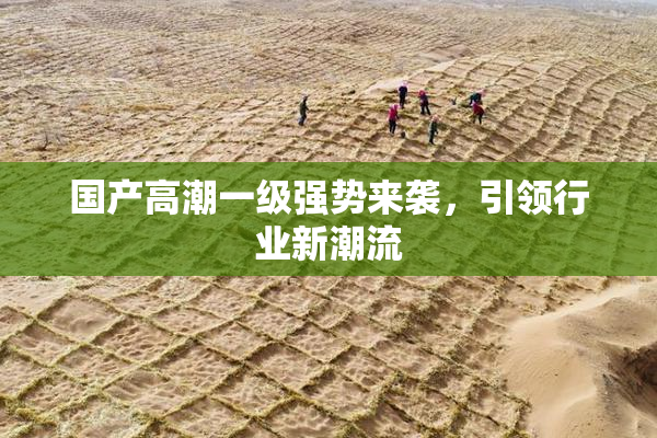 国产高潮一级强势来袭，引领行业新潮流