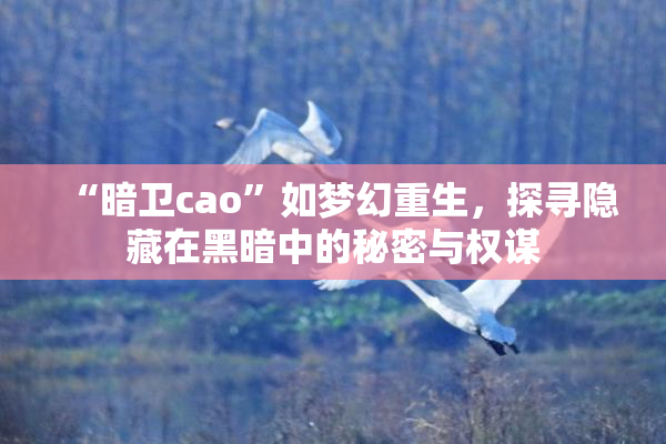 “暗卫cao”如梦幻重生，探寻隐藏在黑暗中的秘密与权谋
