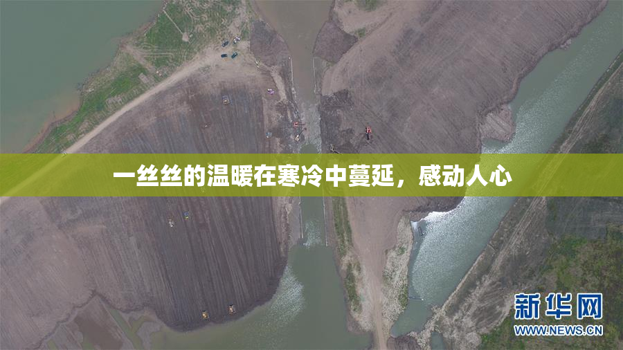 一丝丝的温暖在寒冷中蔓延，感动人心