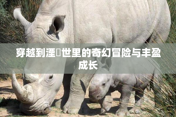 穿越到湮婸世里的奇幻冒险与丰盈成长
