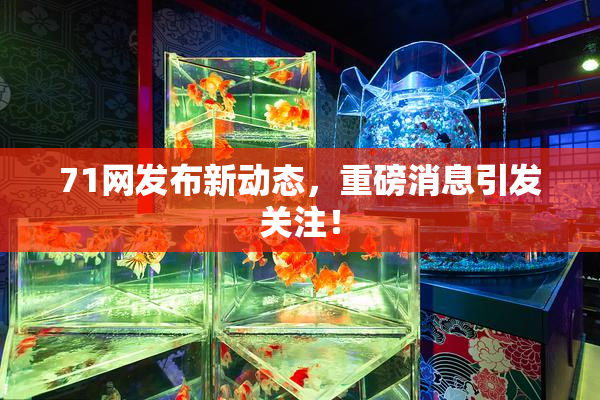 71网发布新动态，重磅消息引发关注！