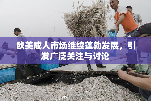 欧美成人市场继续蓬勃发展，引发广泛关注与讨论