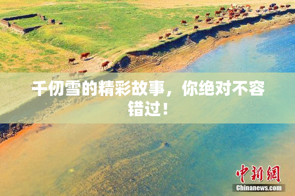 千仞雪的精彩故事，你绝对不容错过！