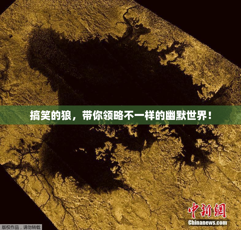 搞笑的狼，带你领略不一样的幽默世界！