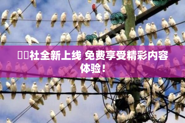 擼擼社全新上线 免费享受精彩内容体验！