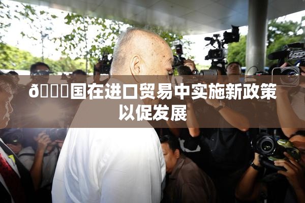 🔞国在进口贸易中实施新政策以促发展